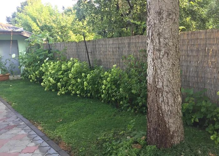 Isabel Apartamento *